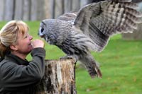 Vorführung im Vogelpark Marlow - Bild vergrößern ...